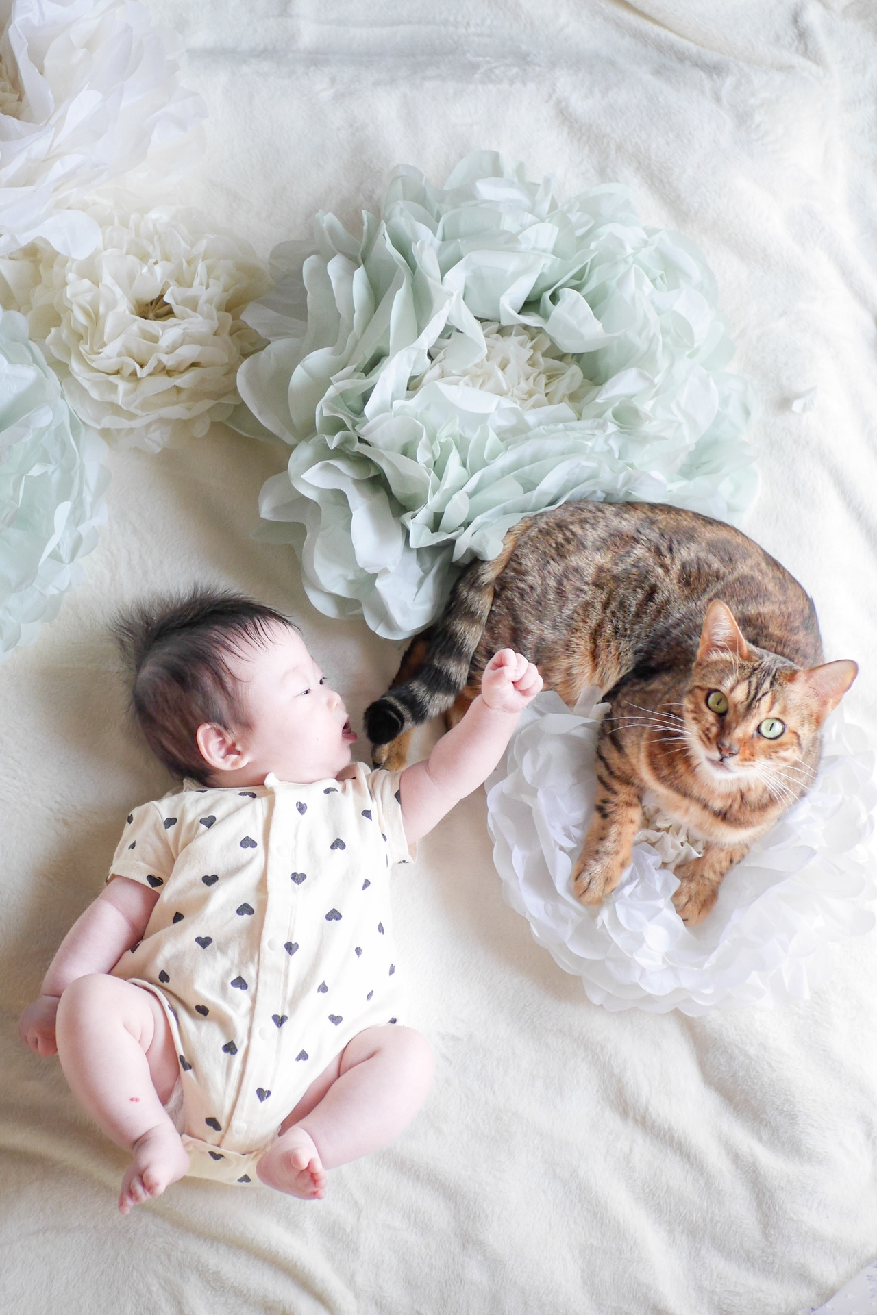 生後100日を迎えた赤ちゃんと、そばでくつろぐ猫のツーショット。