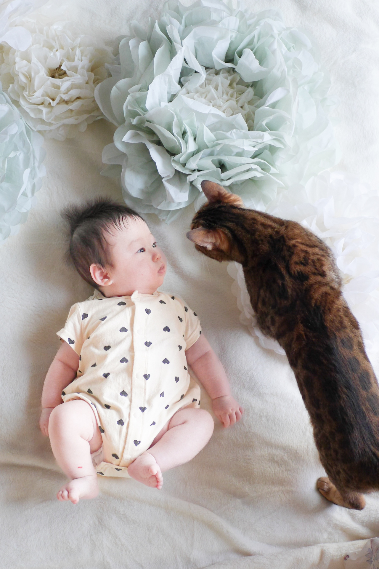 赤ちゃんの隣に寄り添う猫、100日を祝う家族の温かい瞬間。